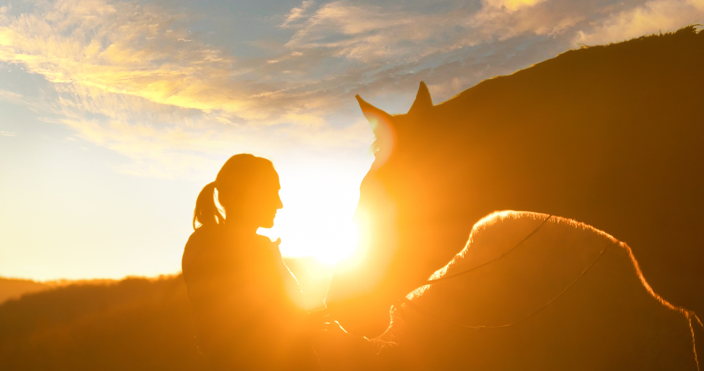 The Science Behind Horse Therapy